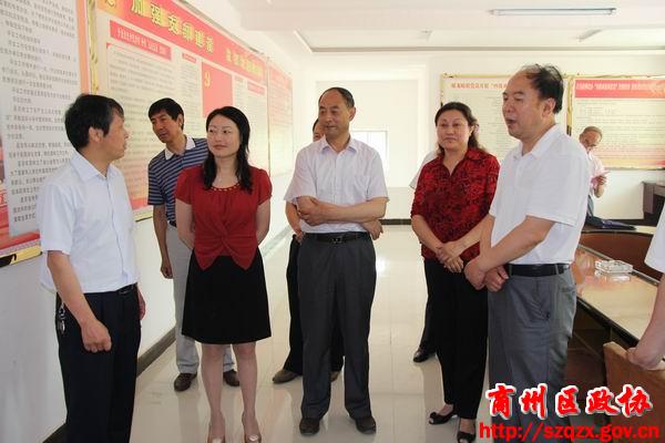 商州区政协视察文化强区建设工作