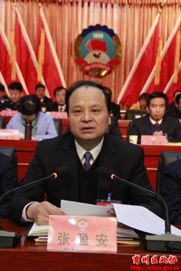 1区委书记张盈安在闭幕大会上讲话.JPG