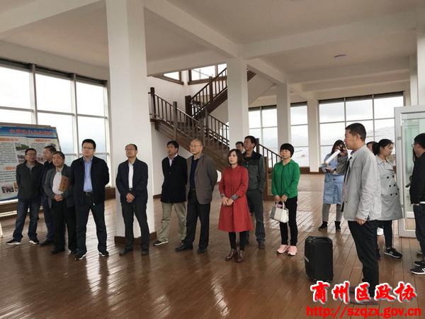 区政协对全区光伏产业发展情况进行专题调研