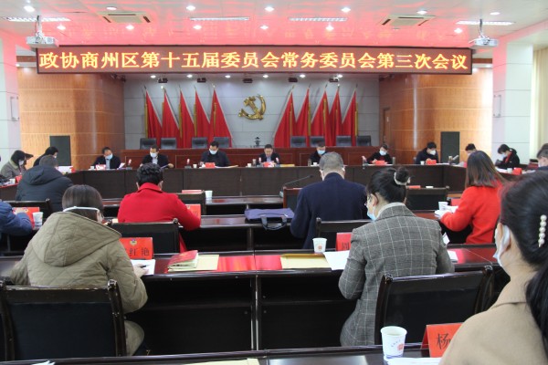 区政协召开十五届委员会常务委员会第三次会议