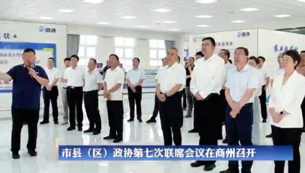 331.jpg