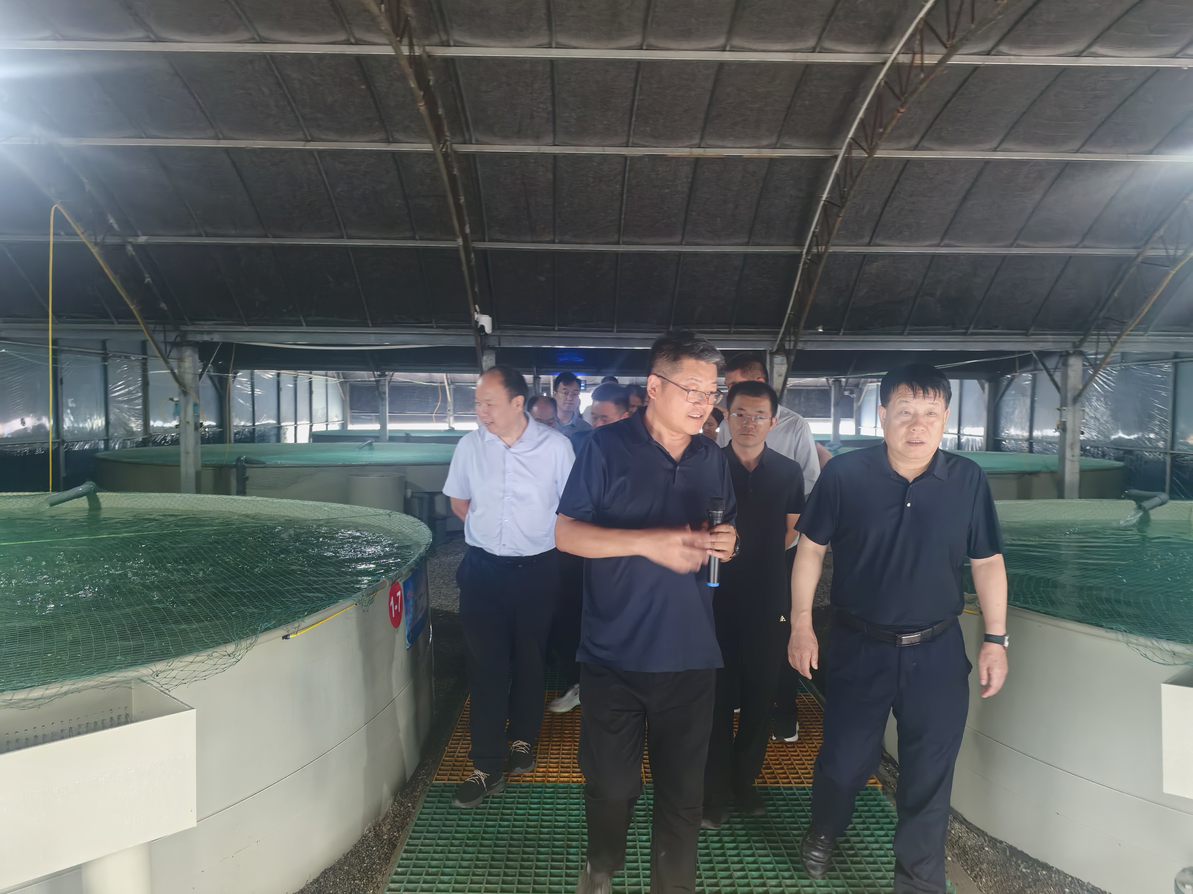 区政协围绕“发展沟域经济，推动乡村振兴”开展专题视察
