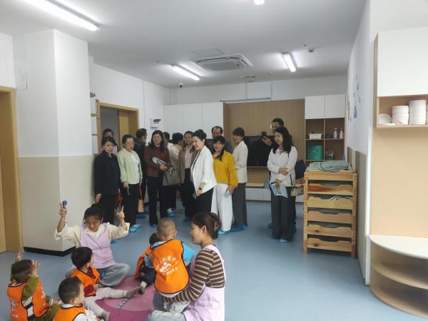 区政协开展"加快幼儿普惠性托育服务供给 助力人口出生率稳步回升"调研